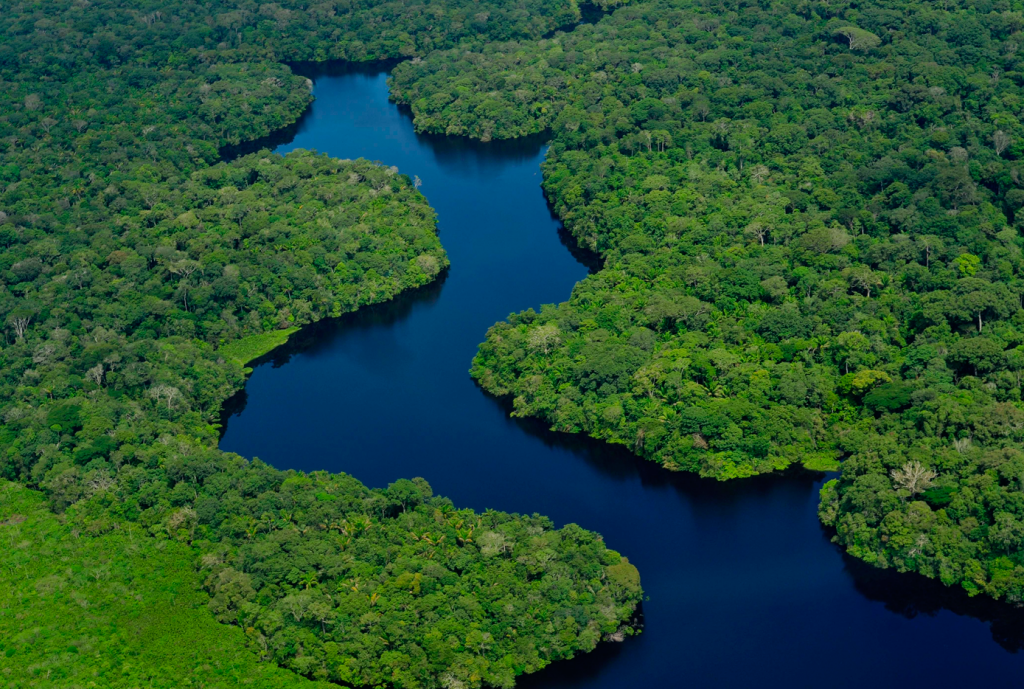 Preservación de Manantiales, Ríos y Bosques - FUNDO CASA